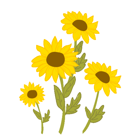 Bouquet of Sunflowers